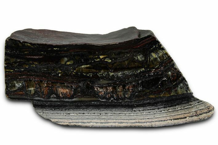 Polished Tiger Iron Stromatolite Section - Billion Years #353258